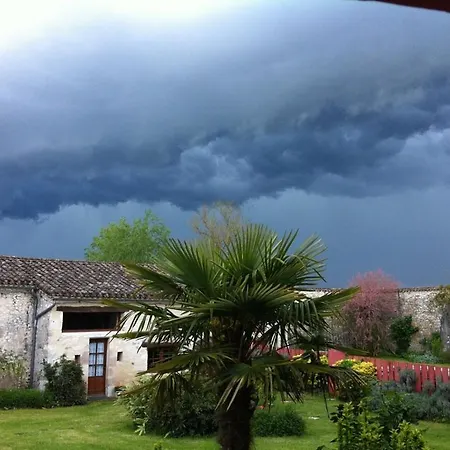 Les Figuiers De